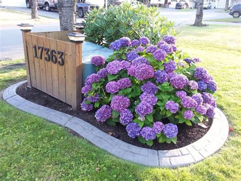 what to plant to hide electrical box|how to hide utility boxes.